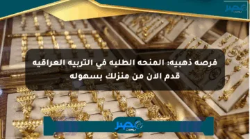 فرصة ذهبية: المنحة الطلبة في التربية العراقية قدم الآن من منزلك بسهولة